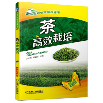 茶高效栽培