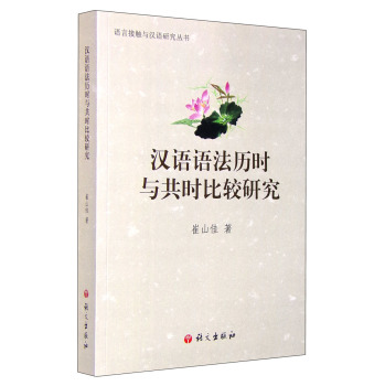 语言接触与汉语研究丛书：汉语语法历时与共时比较研究 下载
