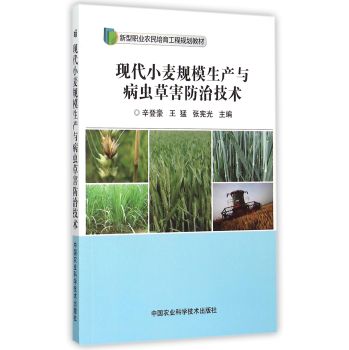 现代小麦规模生产与病虫草害防治技术 下载