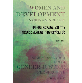中国妇女发展20年：性别公正视角下的政策研究 下载