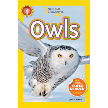Owls  下载