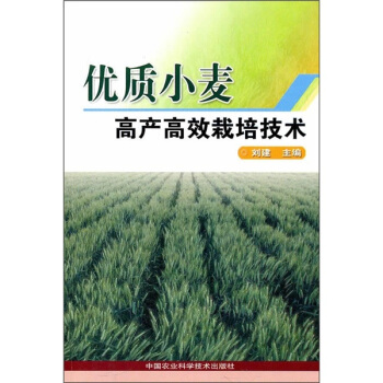 优质小麦高产高效栽培技术  