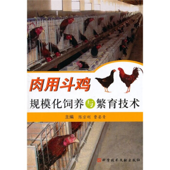 肉用斗鸡规模化饲养与繁育技术