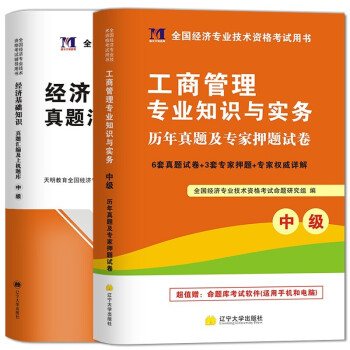 2022中级经济师真题试卷 历年真题+上机题库：工商管理(全2册）
