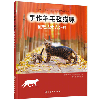 手作羊毛毡猫咪：植毛技术大公开 下载