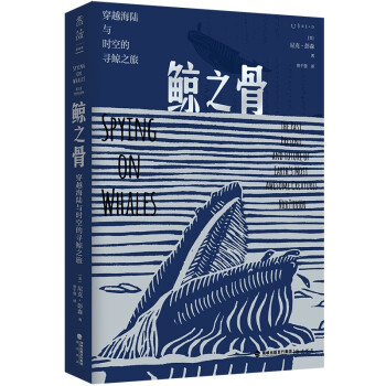 鲸之骨：穿越海陆与时空的寻鲸之旅 下载