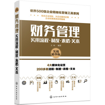 世界500强企业精细化管理工具系列--财务管理实用流程·制度·表格·文本 下载