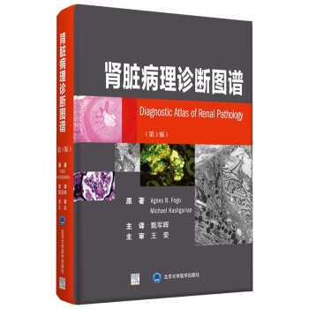肾脏病理诊断图谱（第3版） [Diagnostic Atlas of Renal Pathology] 下载