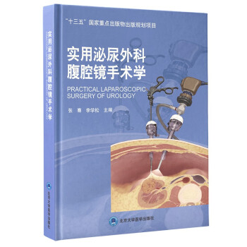 实用泌尿外科腹腔镜手术学 [Practical Laparoscopic Surgery of Urology] 下载