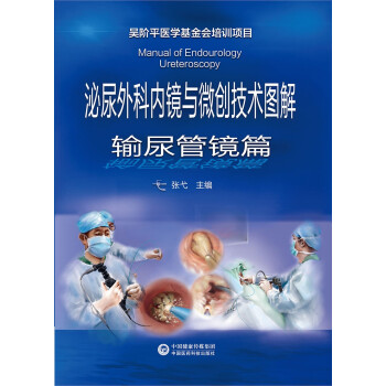 泌尿外科内镜与微创技术图解-输尿管镜篇 下载