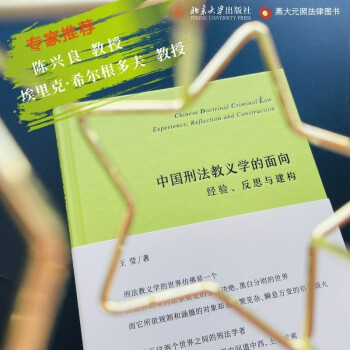 中国刑法教义学的面向：经验、反思与建构 下载