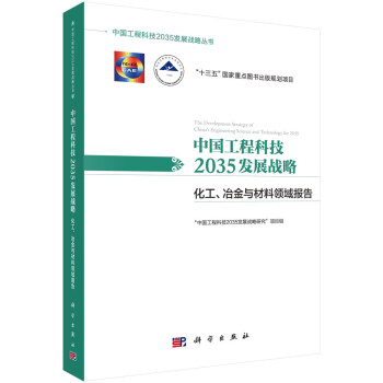 中国工程科技2035发展战略·化工、冶金与材料领域报告 下载