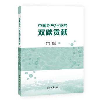 中国沼气行业的双碳贡献 下载