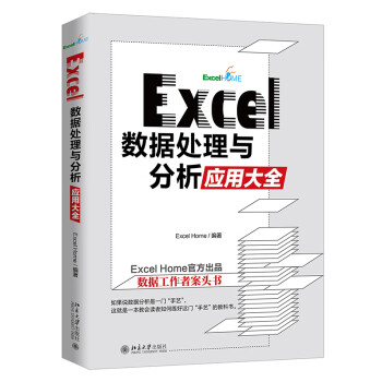 Excel数据处理与分析应用大全 ExcelHome出品 AI时代数据分析/数据可视化宝典