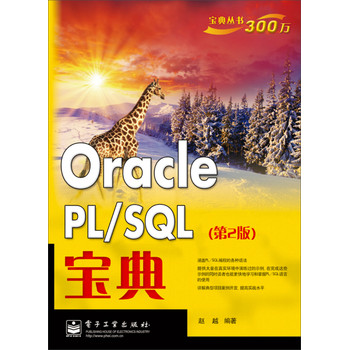 Oracle PL/SQL宝典（第2版） 下载