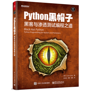 Python 黑帽子：黑客与渗透测试编程之道 下载