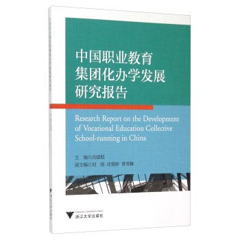 中国职业教育集团化办学发展研究报告