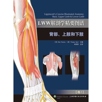LWW解剖学精要图谱：背部、上肢和下肢 下载