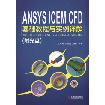 ANSYS ICEM CFD 基础教程与实例详解 下载