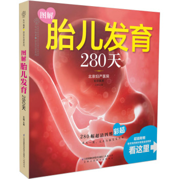 图解胎儿发育280天 下载