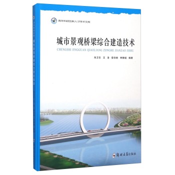 城市景观桥梁综合建造技术 下载