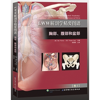 LWW解剖学精要图谱：胸部、腹部和盆部 下载