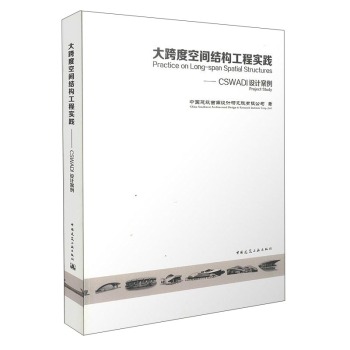 大跨度空间结构工程实践 CSWADI设计案例 下载