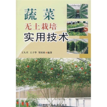 蔬菜无土栽培实用技术 下载