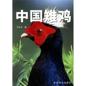 中国雉鸡 下载