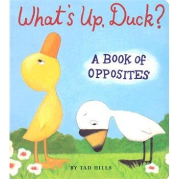 What's Up, Duck?怎么了，小鸭子？ 英文原版  下载