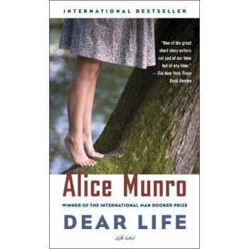 Dear Life: Stories亲爱的生活 英文原版  下载