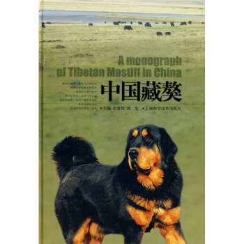 中国藏獒   下载