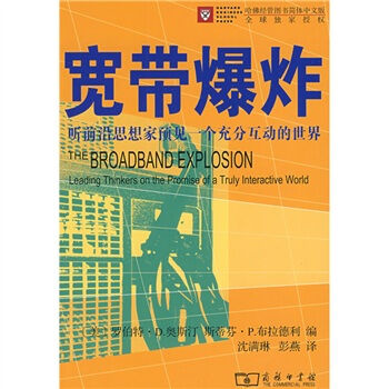 宽带爆炸：听前沿思想家预见一个充分互动的世界   下载