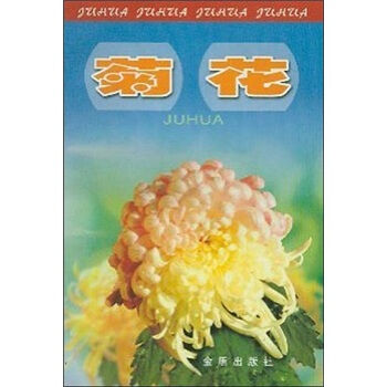 菊花   下载