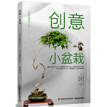 创意小盆栽   下载