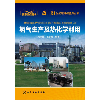 氢气生产及热化学利用/21世纪可持续能源丛书   下载