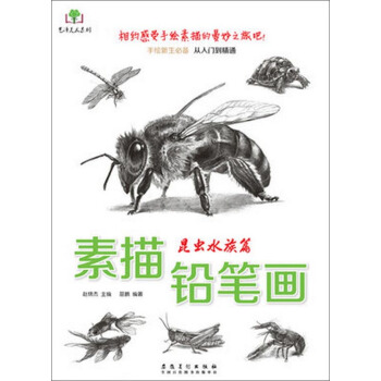 艺泽美术系列 素描铅笔画：昆虫水族篇 下载