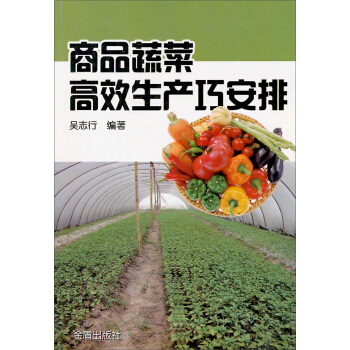 商品蔬菜高效生产巧安排