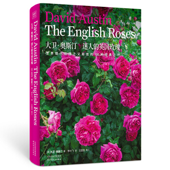 大卫·奥斯汀 迷人的英国玫瑰 下载