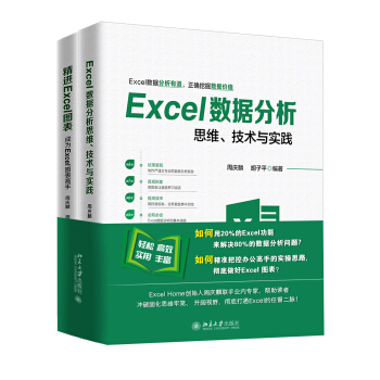 Excel数据分析全能套装（Excel数据分析 思维、技术与实践；精进Excel图表 成为Excel图表高手） 下载