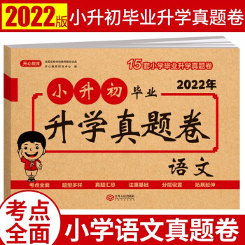 2022新版小升初毕业升学真题卷汇编语文 小学升初中冲刺模拟卷测试卷总复习资料必刷题习题集 下载