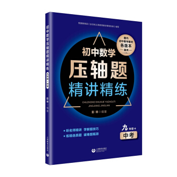 初中数学压轴题精讲精练（九年级+中考） 下载