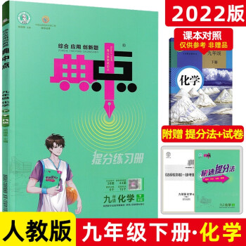 2022春 典中点九年级下册化学人教版RJ 初中9年级下册教材同步提分练习册 下载