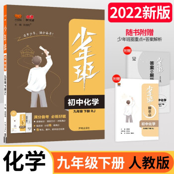 2022春少年班九年级化学下册人教版 初三9年级化学RJ版课本同步教材训练中考复习辅导资料必刷练习一课一练题 下载