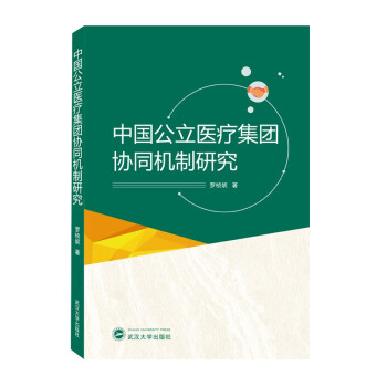 中国公立医疗集团协同机制研究 下载