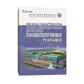 页岩储层微观尺度描述——方法与挑战 下载