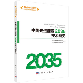 中国先进能源2035技术预见 下载