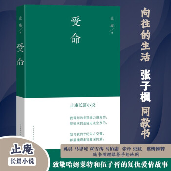 受命（马思纯 姚晨 张静初 张译 史航 那多 盛情推荐 随书附赠绿茶手绘地图） 下载