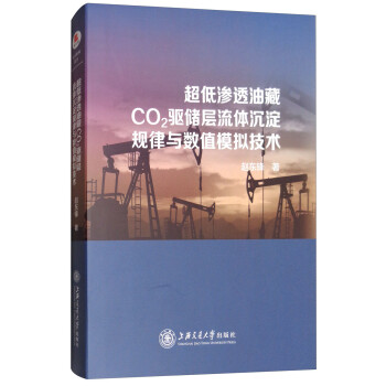 超低渗透油藏CO2驱储层流体沉淀规律与数值模拟技术 下载