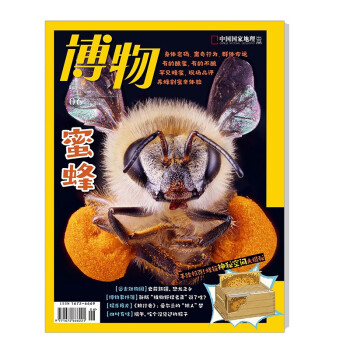 博物 2022年6月号 本期主题 蜜蜂 中国国家地理青春少年版博物君式科普百科期刊